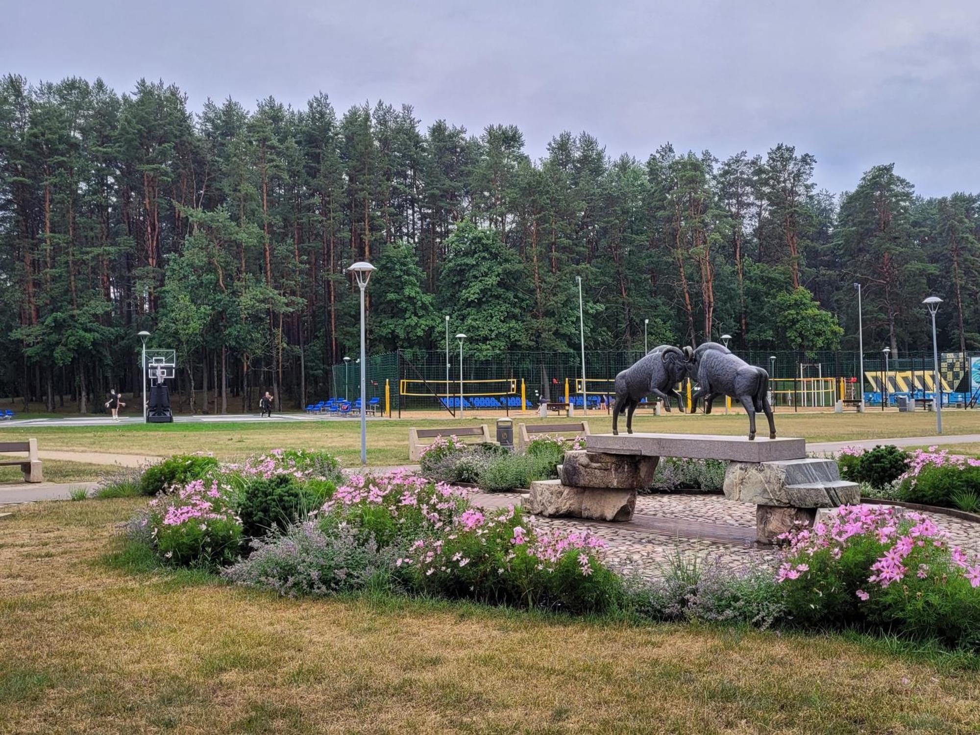 Chalet Villa Rex Druskininkai Exterior photo