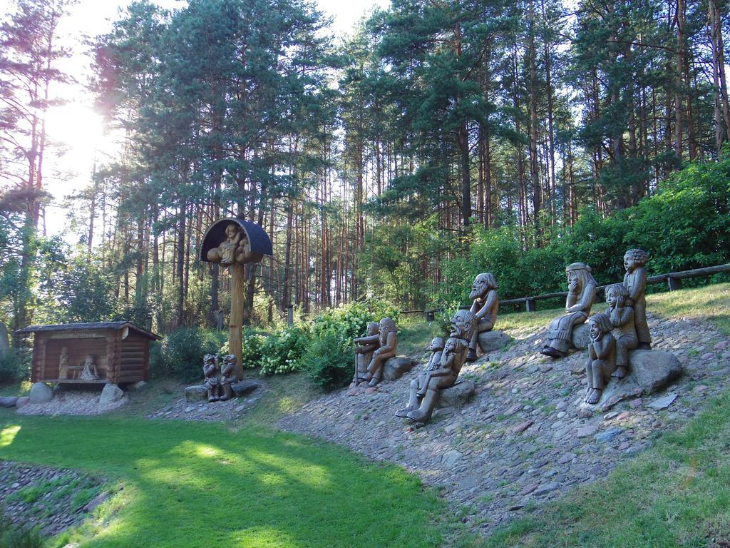 Chalet Villa Rex Druskininkai Exterior photo